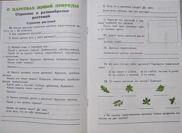 Проверочная тетрадь по окружающему миру 3 класс Ивченкова. Контрольная работа 3 класс царства природы. Контрольная по окружающему миру 3 класс царства природы. Царства природы 3 класс окружающий мир контрольная.