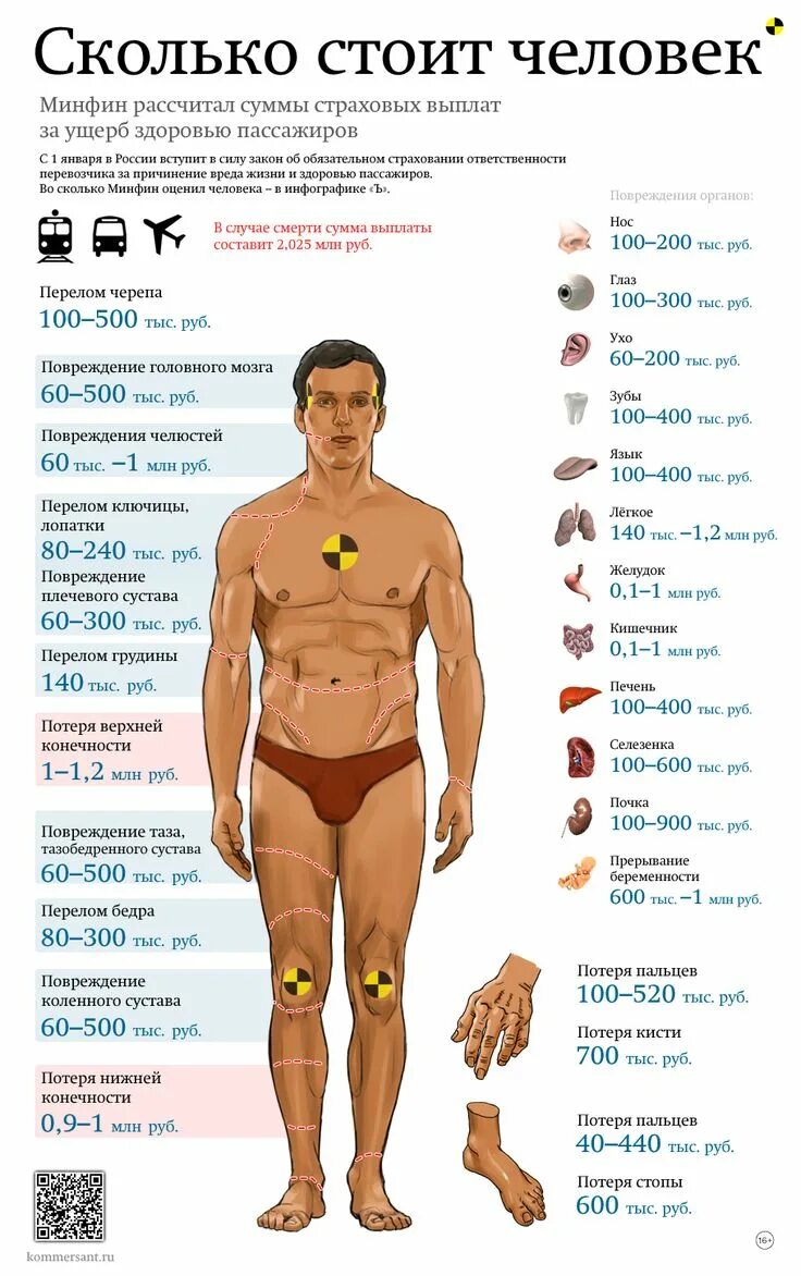 Цена человеческих органов на черном рынке. Органы человека на черном рынке. Черный рынок органов человека. Черный рынок органов человека. Черный рынок органов человека.
