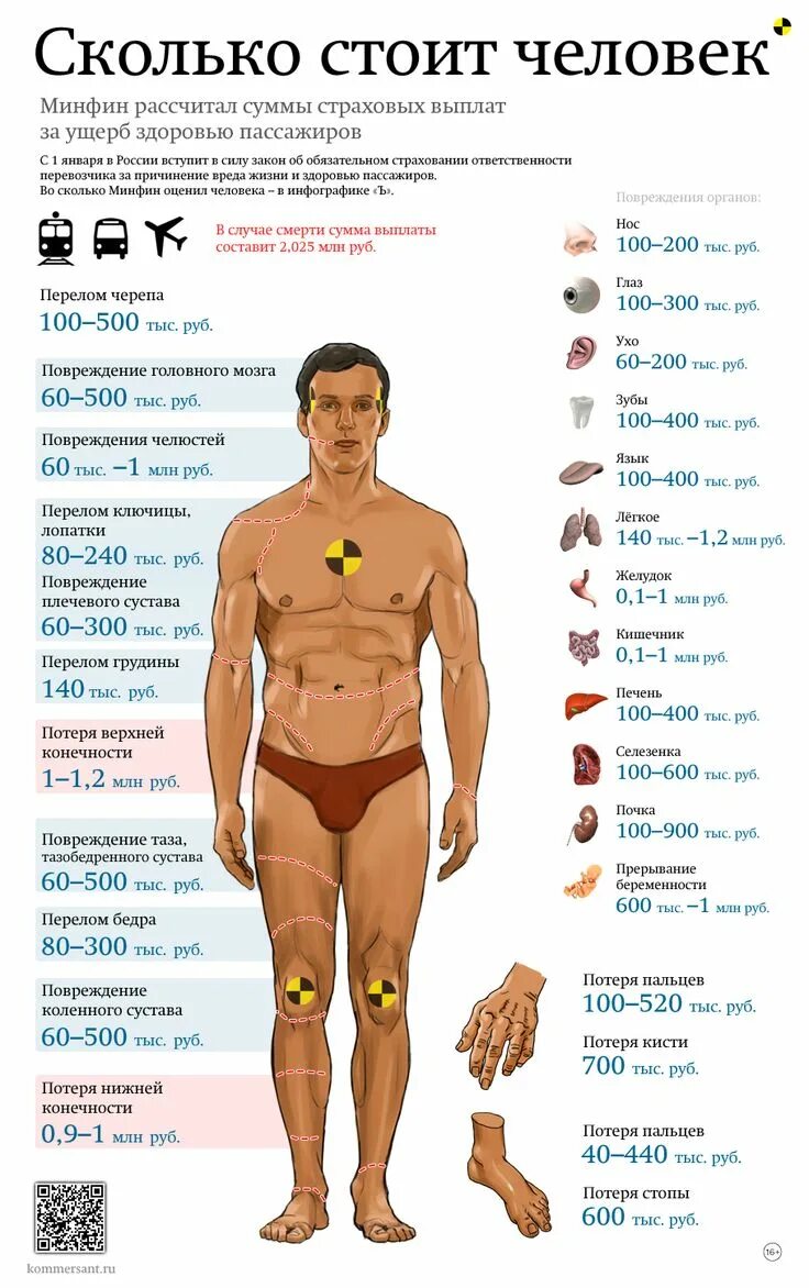 Продажа органов человека. Сколько стоит человек. Сколько стоят органы человека. Колько сточт органы человека. Стоимость человеческих органов.