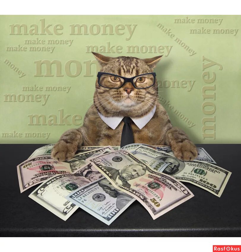 Денежный котик. Кот с купюрой. Богатый кот. Кот с денежкой. Котик с деньгами.