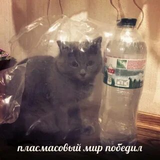 Мир победил макет оказался
