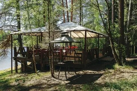 Дельфин аренда беседок