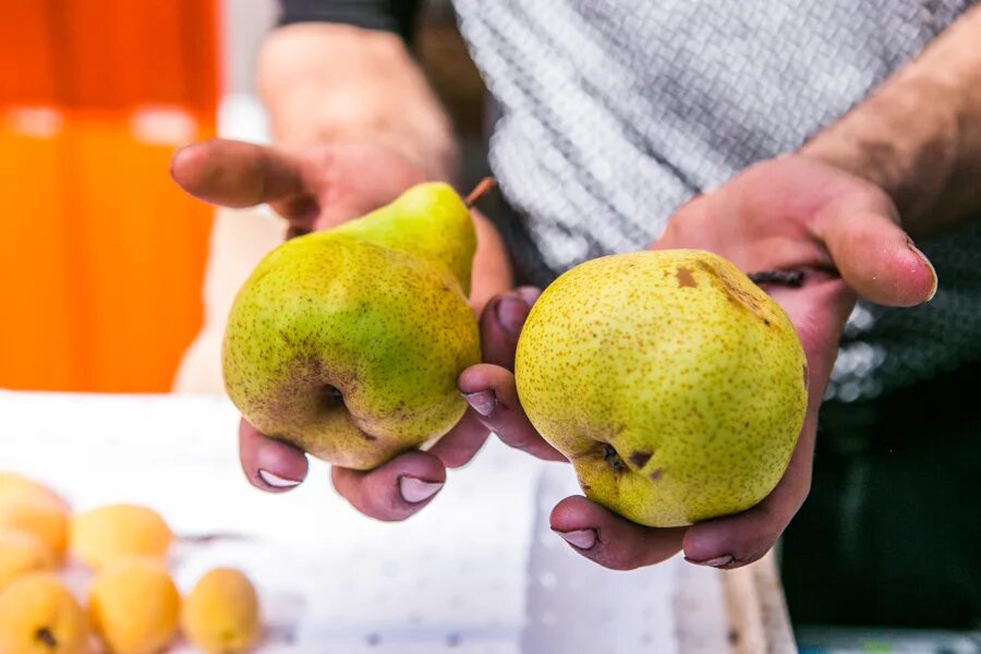Груша дали. Груша в тесте. Груша дали. Груша аббат пятерочка. Дав с грушей.