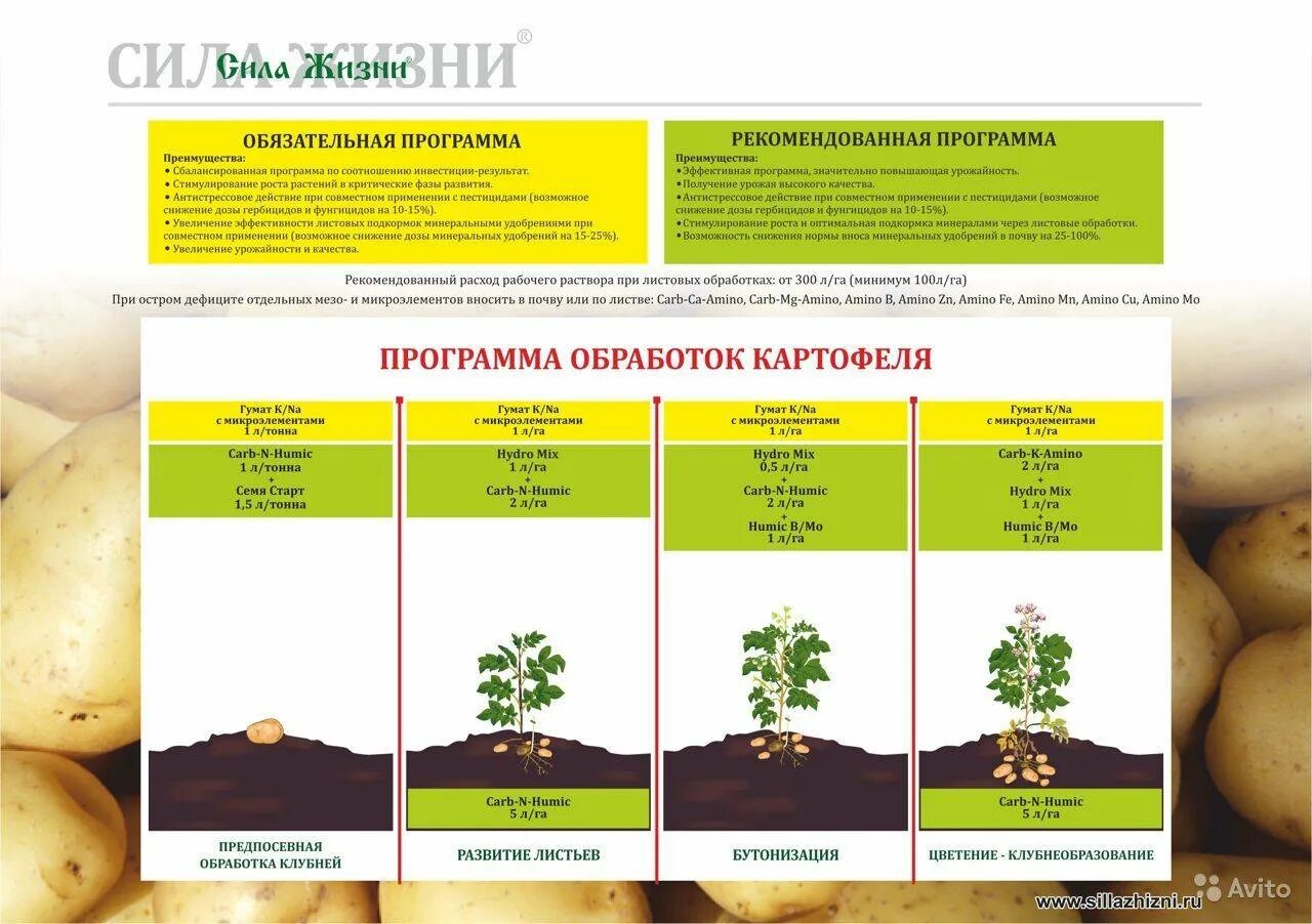 Чем удобрить землю перед посадкой картофеля