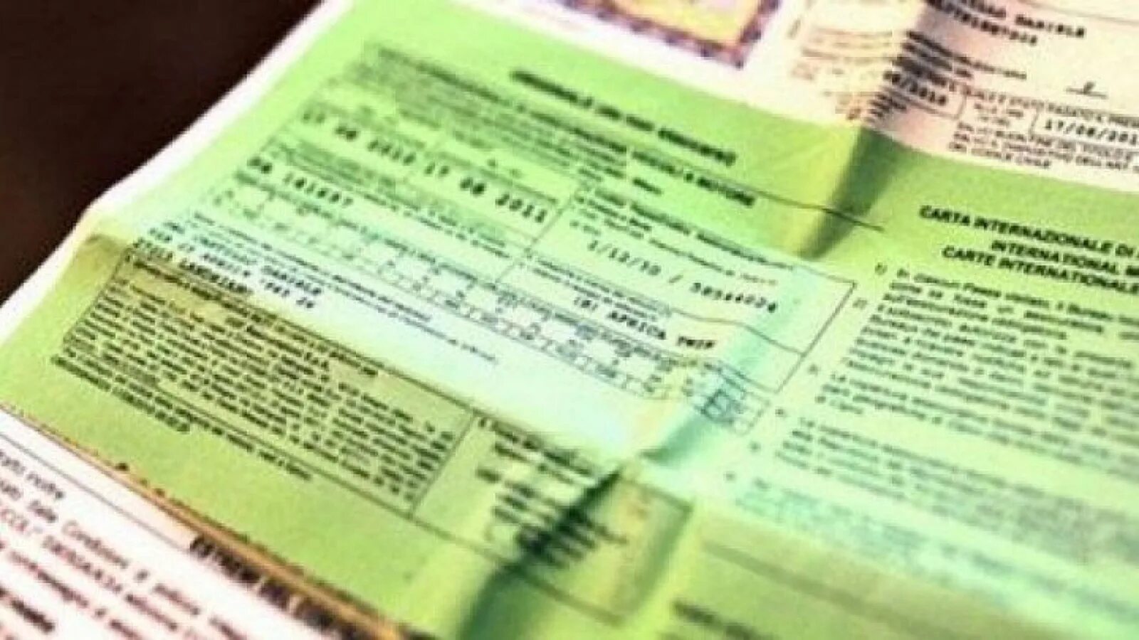Где получить зеленую карту мигранта