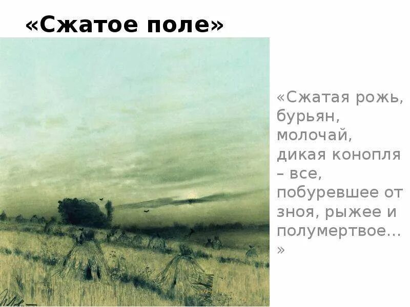 Сжатая рожь. Сжатая рожь бурьян молочай Дикая конопля. Сжатая рожь бурьян молочай все побуревшее от зноя рыжее и полумертвое. Сжатая рожь, бурьян,молочай, конопля- всё побуревшее от зноя. Воздух застыл степь приняла унылый вид