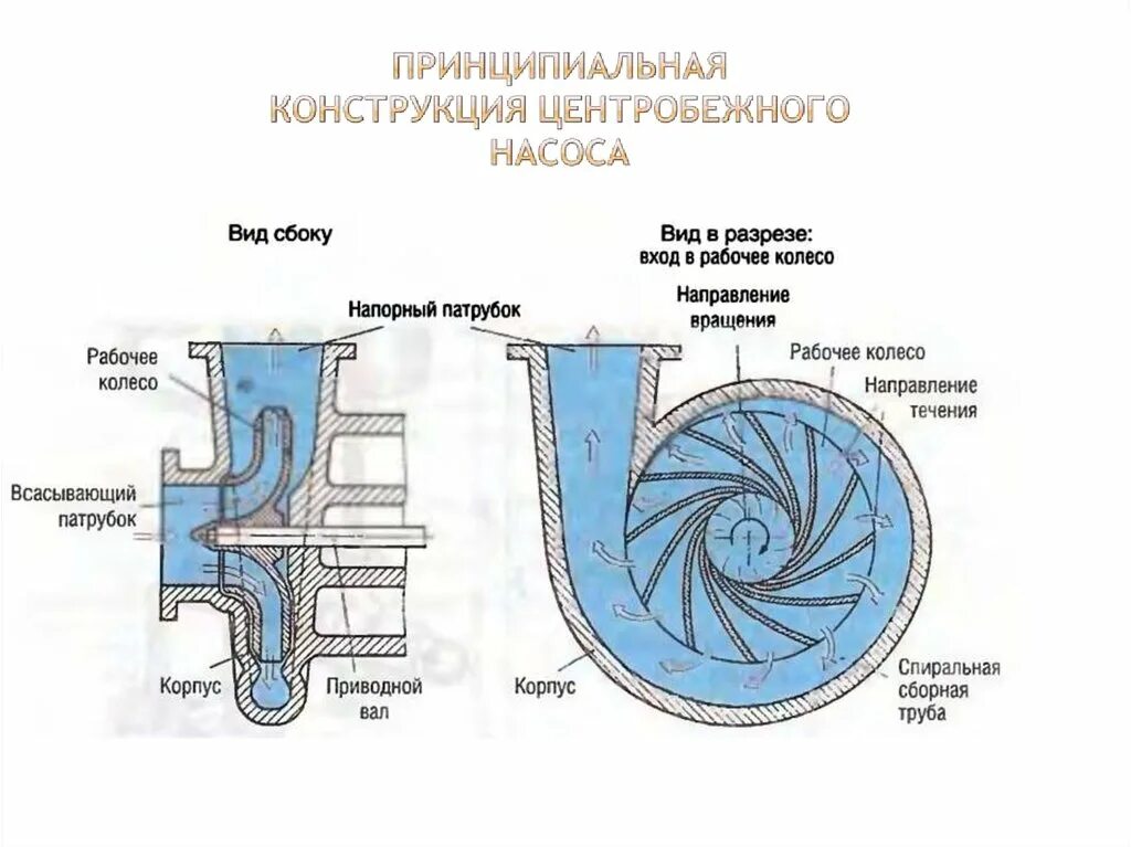 Насос движения воды. Рабочее колесо(центробежный консольный насос 1к 20/30). Схема центробежного насоса с электродвигателем. Центробежный насос схема и принцип работы. Рабочее колесо центробежного насоса 180мм.