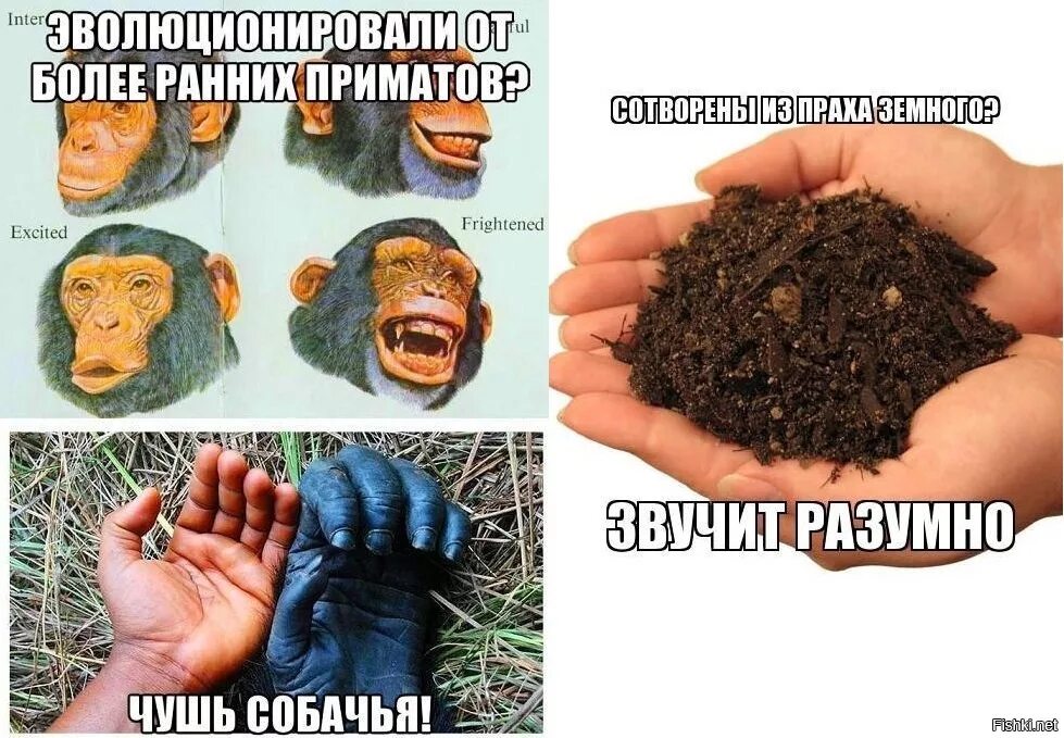 Музыкальное развитие. Города классицизма планы. Более ранний. В состав внд включается:. Более ранний.