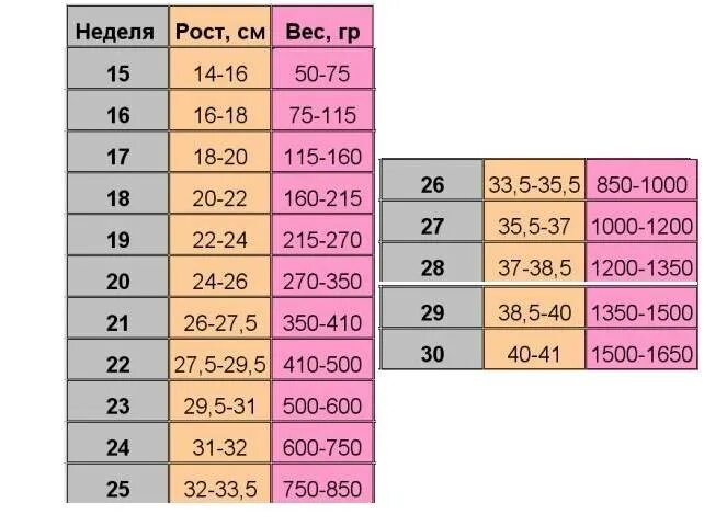 20 недель беременности сколько весит ребенок