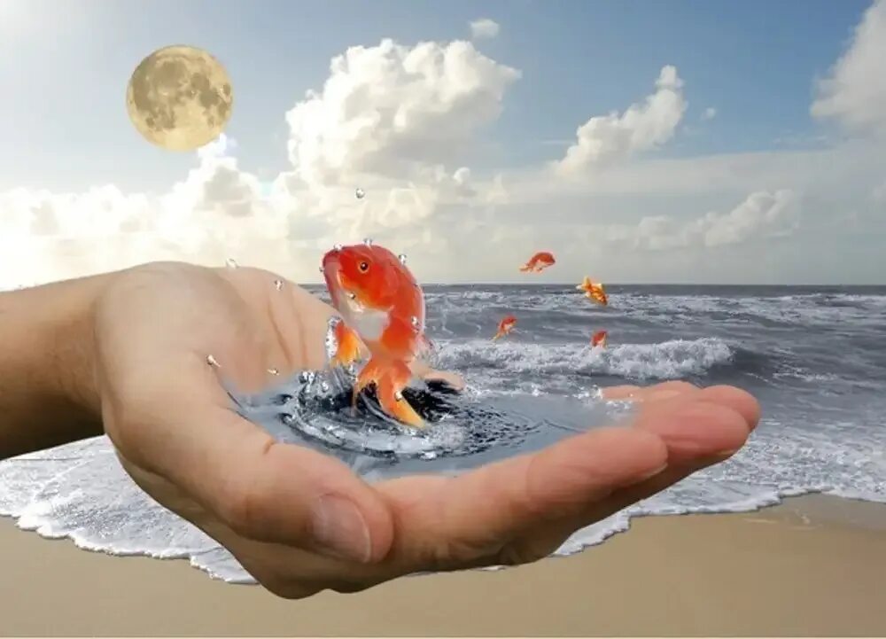 Чтоб много лет