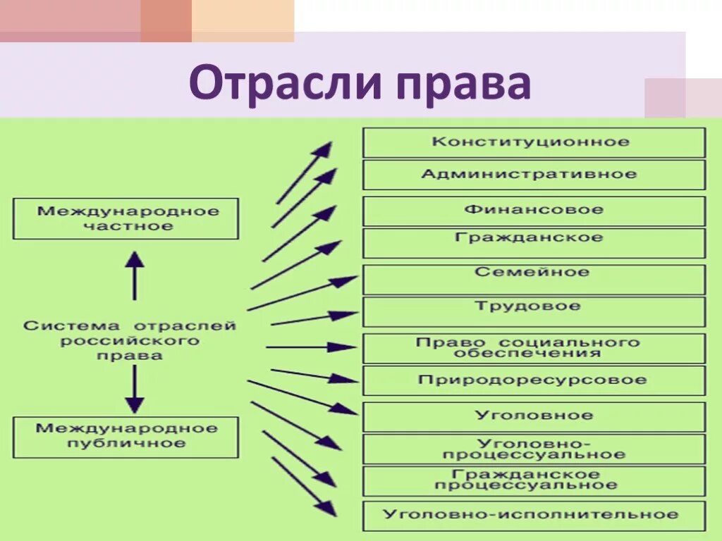 Гражданское уголовное административное относится к группе