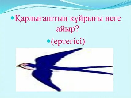 Почему у ласточки хвост рожками