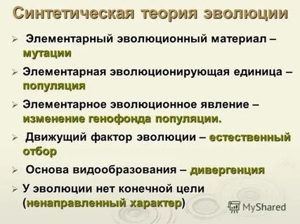 Стэ биология