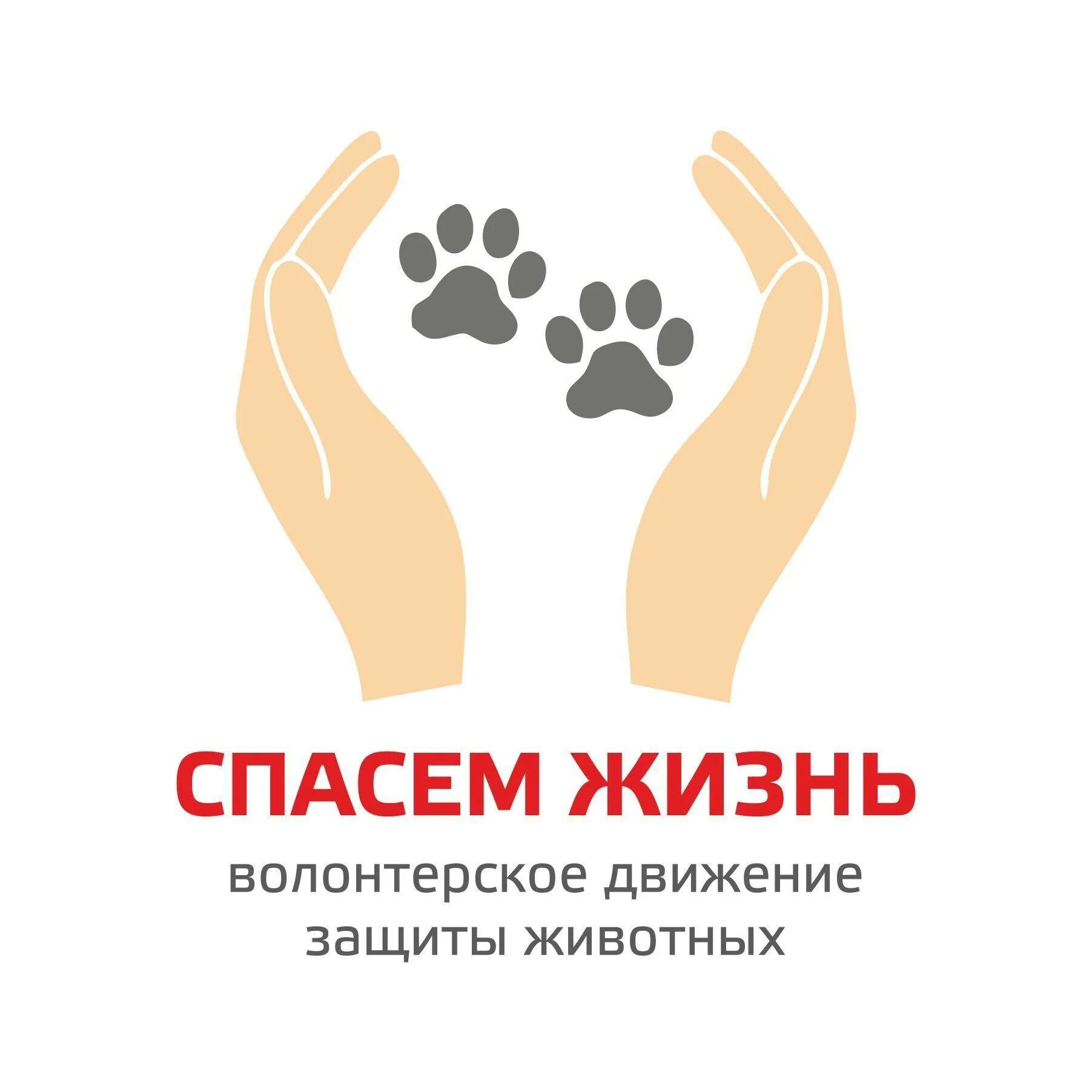 Жизнь группа помощи бездомным. Волонтерское движение защиты животных «спасем жизнь».. спасите жизнь. движения в защиту животных. волонтерские организации по защите животных.