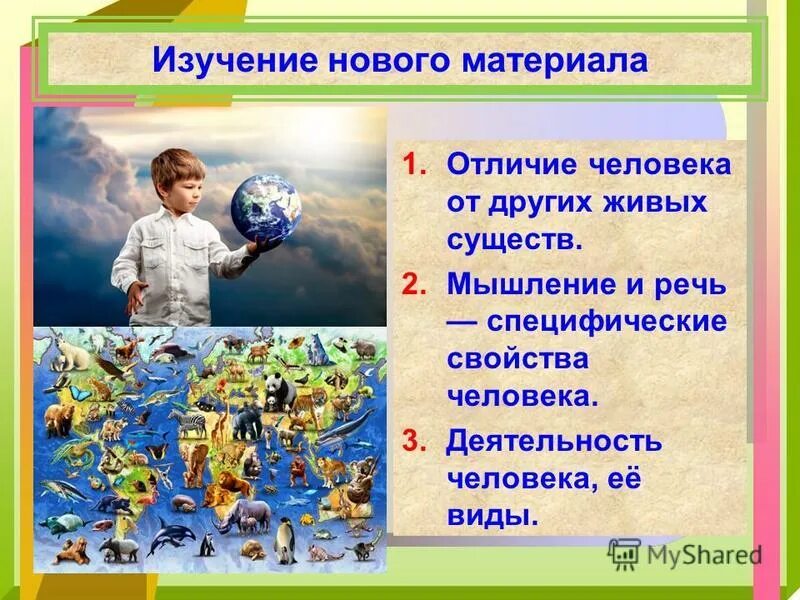 Человека от других живых существ отличает. Человека от других живых существ отличает