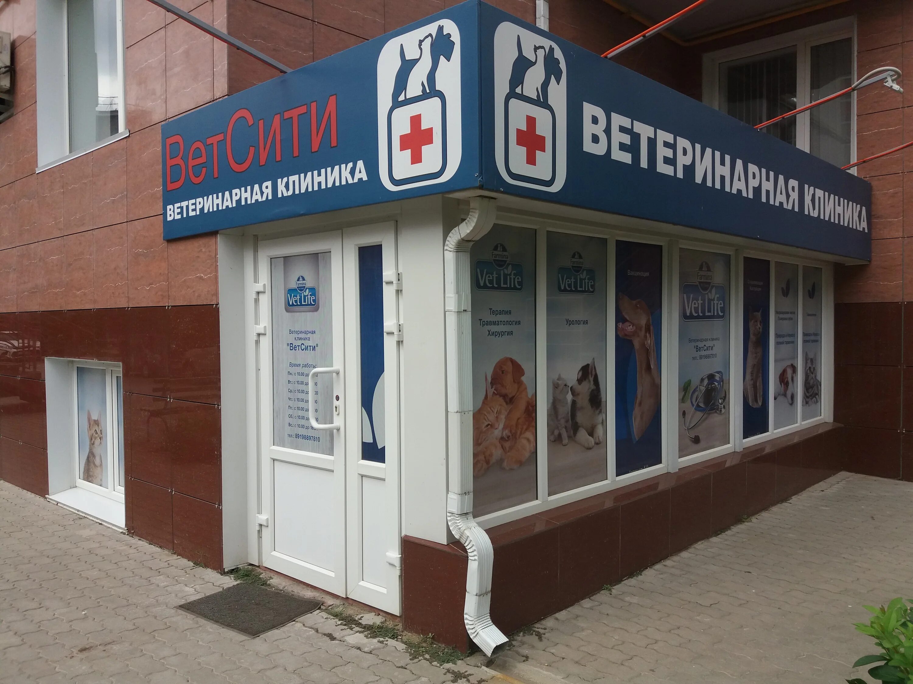 альфавет ветеринарная клиника стерлитамак. волгодонск улица ленина 111. ветеринарная клиника ветсити. ветеринарная стерлитамак адреса. умка ветклиника калуга.