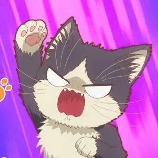 Doukyonin wa hiza tokidoki atama no ue