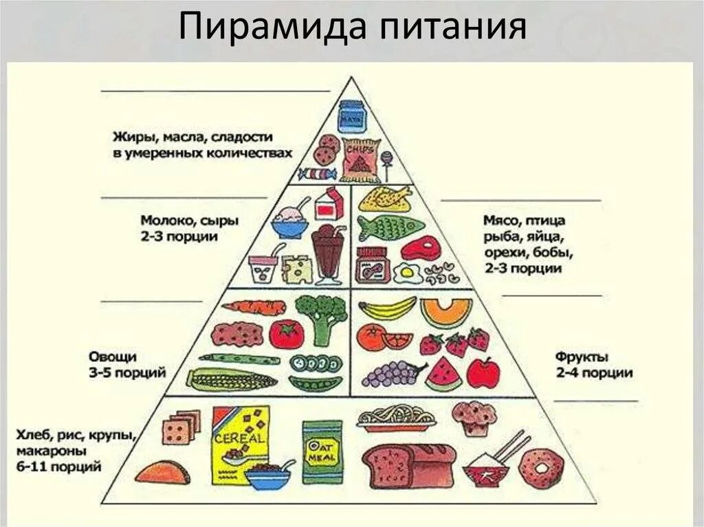 Сколько мяса в порции. Пирамида питания пищевая пирамида схема. Схема пирамиды здорового питания. Пирамида питания здорового человека воз. Рацион правильного питания пирамида.