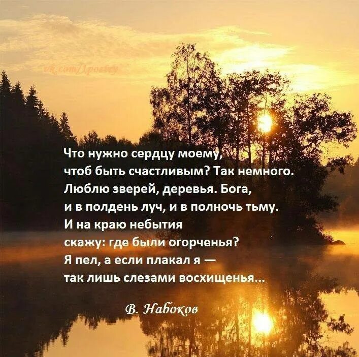 Бесплатные стихи короткие. Стихи. техи. стрихтит. стих на ить.