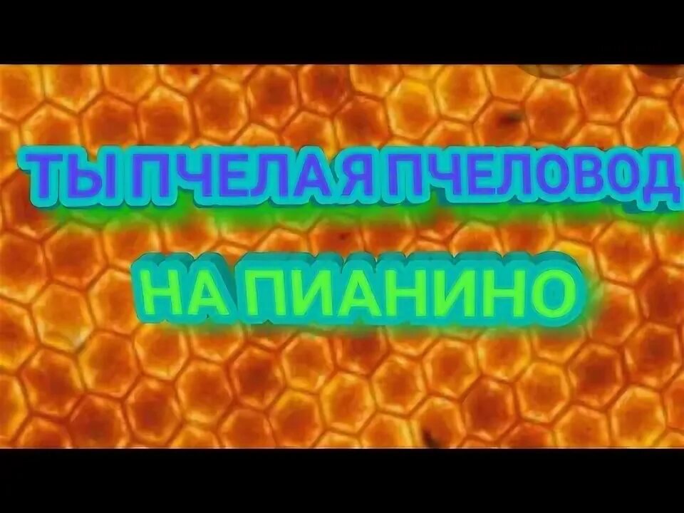 Рингтон ты пчела я. Рингтон ты пчела я. Рингтон ты пчела я. Пчеловод песня. Рингтон ты пчела я.