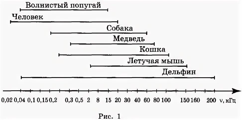На рисунке 1 представлены диапазоны слышимых звуков