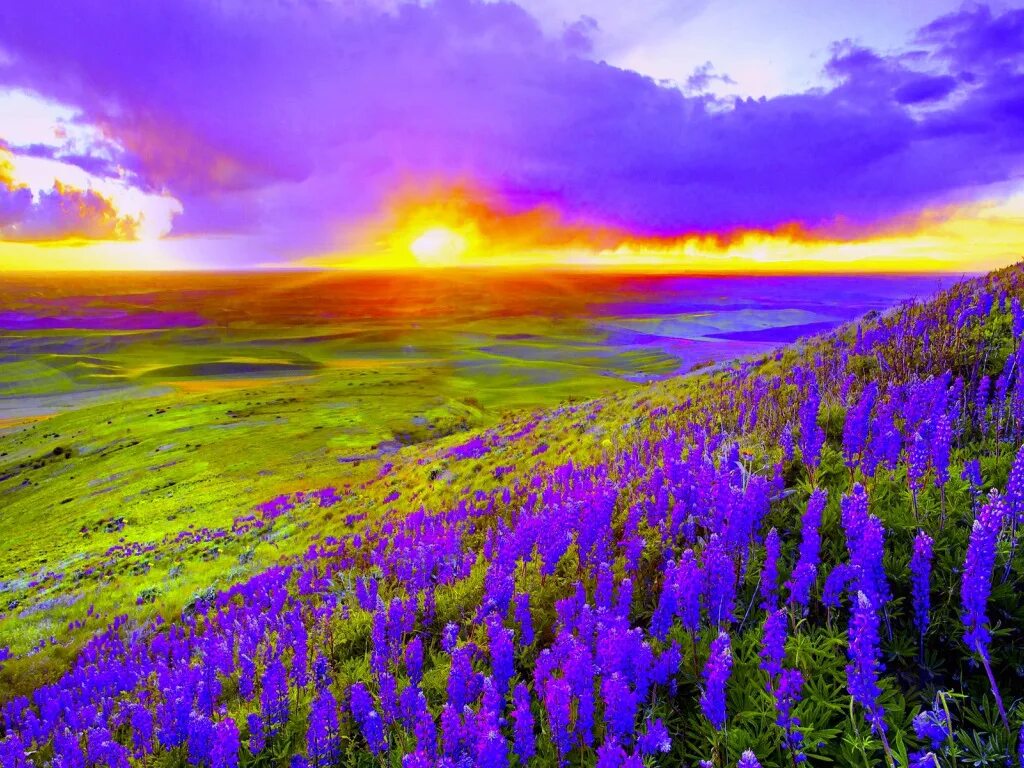 Абстрактный пейзаж. Постижение красоты природы. Сиэтл гора рейнир. Природа. Пробуждение сознания.