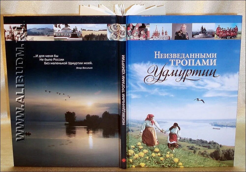 Аллея дарк хеджес. Неизведанными тропами. Камень в лесу. Неизведанная тропа. Мистический лес.