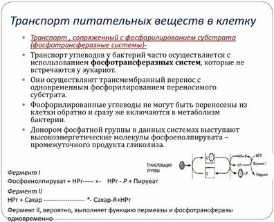 Транспорт в бактериальную клетку