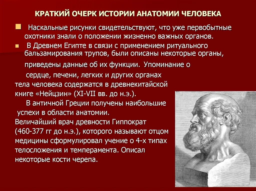 Краткий исторический очерк развития анатомии и физиологии. Историческое развитие анатомии. Краткая история развития анатомии. Исторический очерк анатомия.