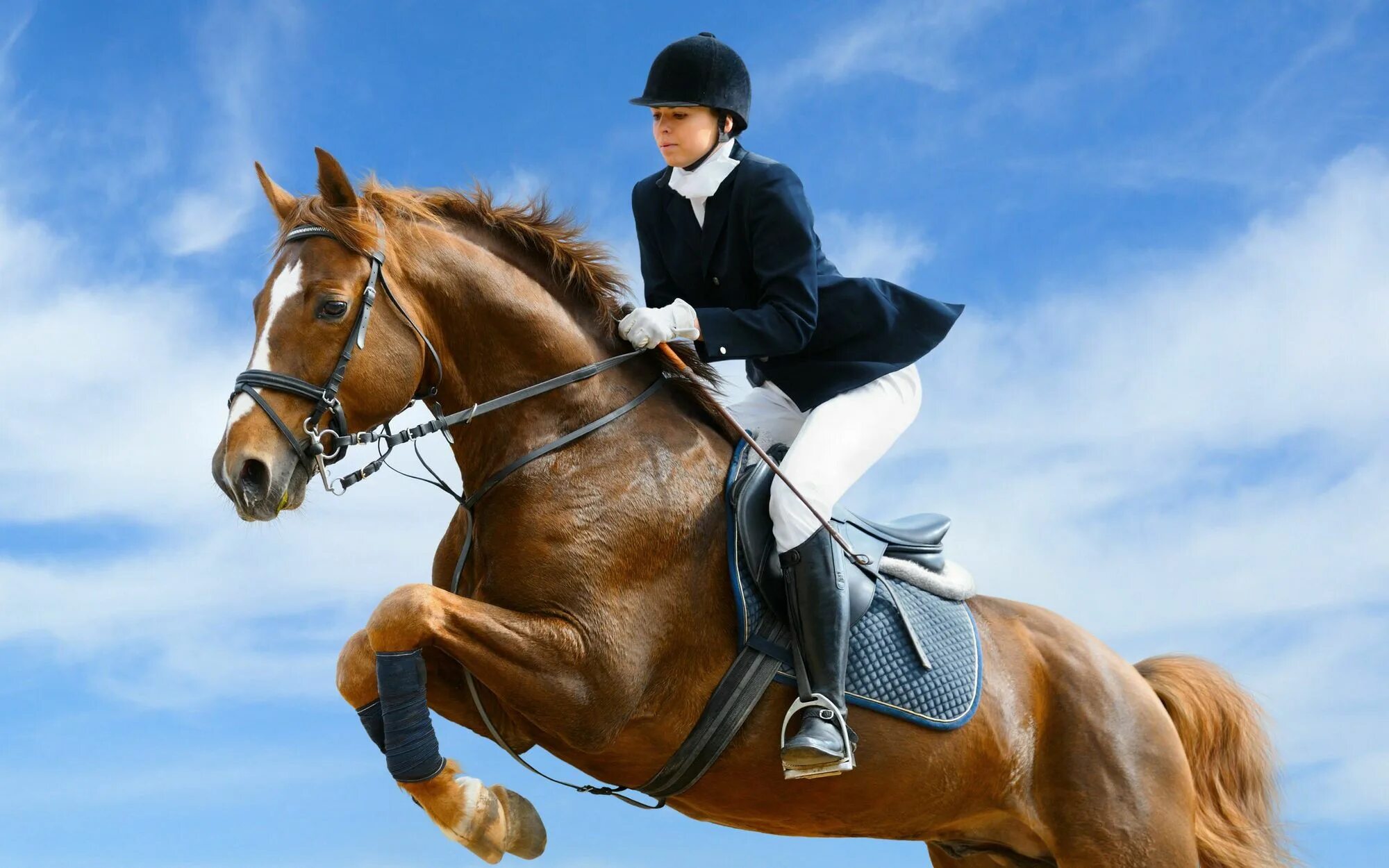 Riding on a white. Riding on a white