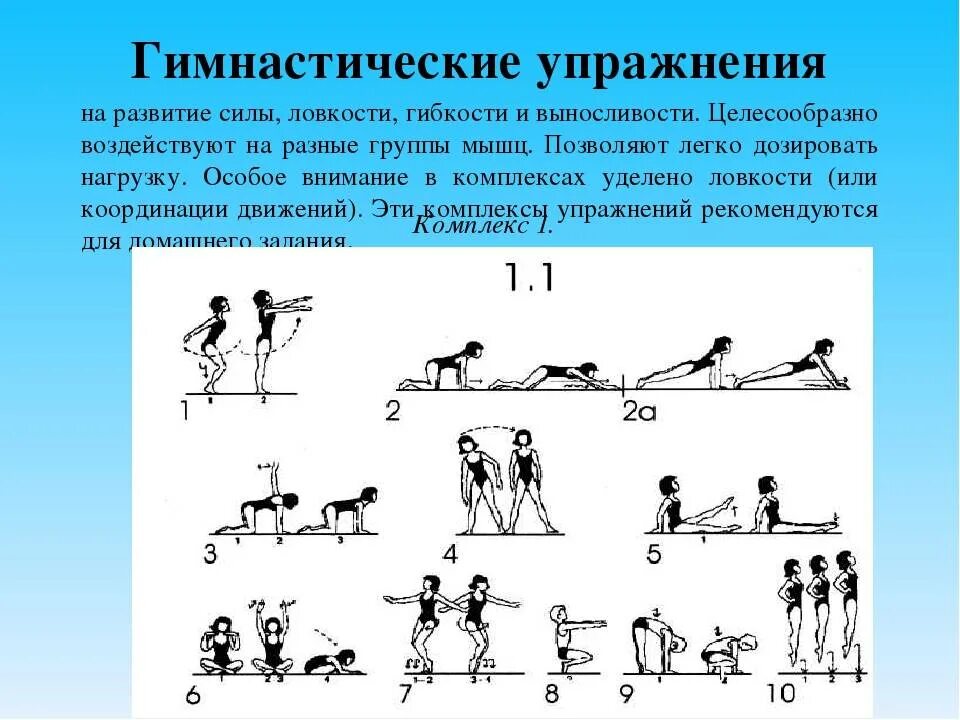Программа развития силы. Упражнения для физического развития. упражнения для развития силы. упражнения для развития ловкости. силовые упражнения для развития гибкости.