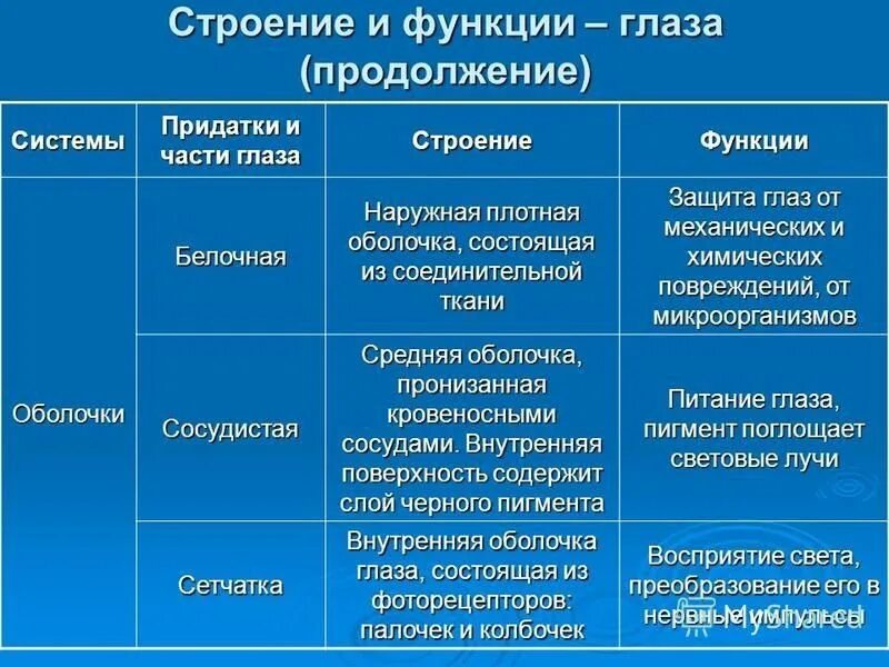 Особенности и функции оболочки. Особенности строения оболочек глаза. Оболочки глаза строение и функции. Особенности строения и функции оболочек глаза. Таблица"строение глаза" (оболочки, строение, функции).