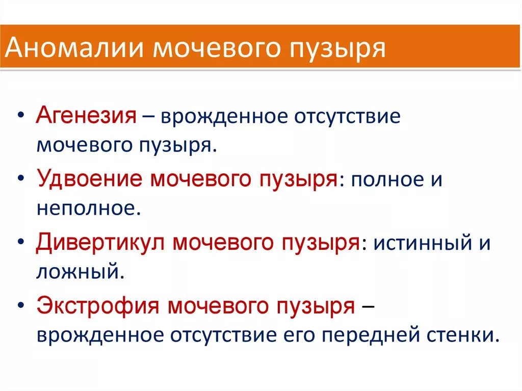 Аномалии мочевыводящих путей. Аномалии мочевыводящих путей