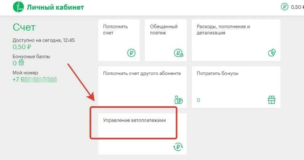 Что такое корректировка в мегафон. Что такое мобильные платежи в мегафоне. Как убрать автоплатеж с мегафона в личном кабинете. Корректировка платежа. Как включить мобильные платежи мегафон.