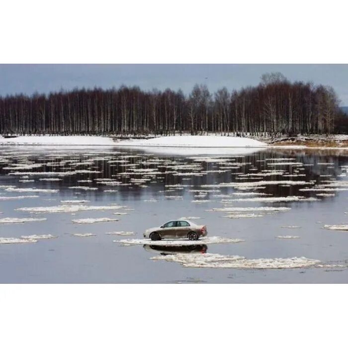 Песня пусть мама. Пусть мама услышит. Пусть мама услышит пусть мама придет. Пусть мамонт услышит пусть мамонт придет. Пусть Маша услышит пусть Маша придёт.