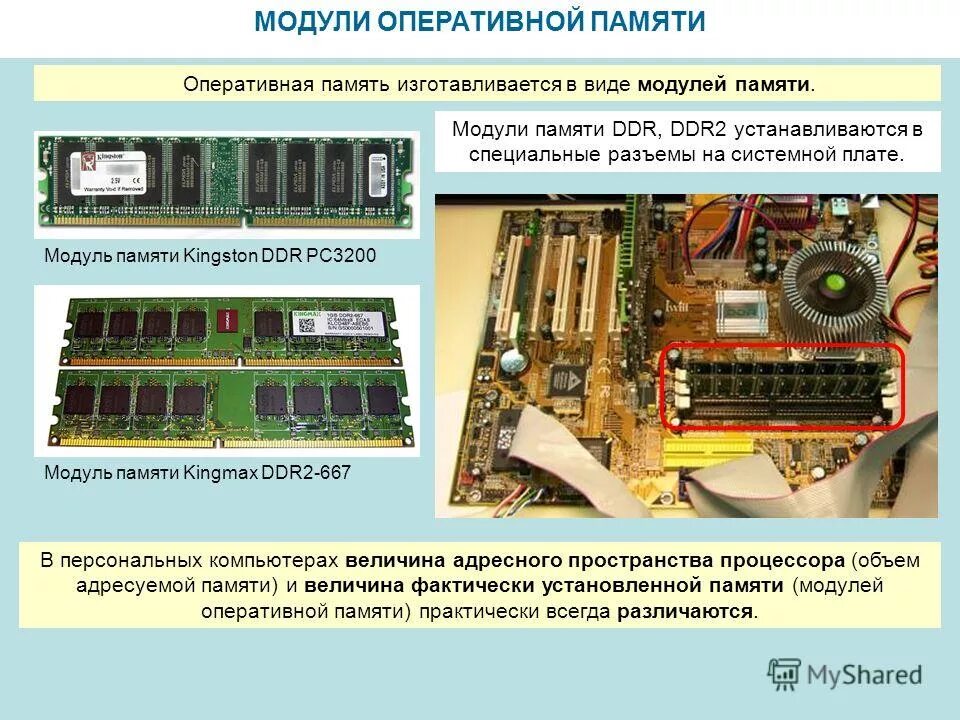 Модуль их виды