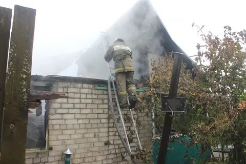 Снт осинки оренбург