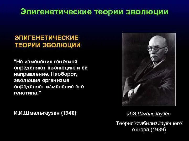 Эпигенетическая теория развития. Теория эволюции. Эпигенетическая Эволюция. Эпигенетическая концепция представители. Эпигенез в эволюции.