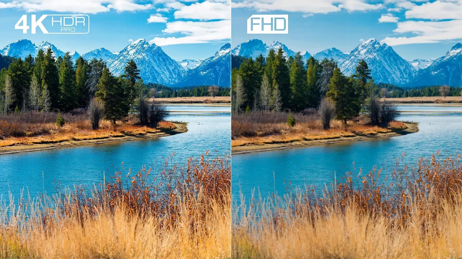 Tcl 65c635 2025 qled hdr. Телевизор tcl 43 4k hdr tv p635.