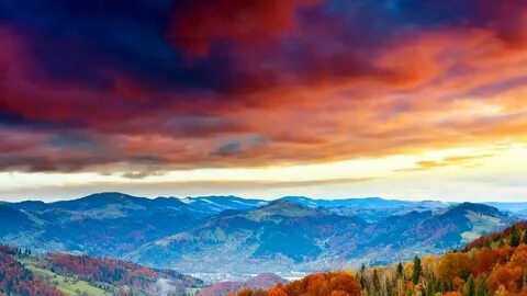Into nature