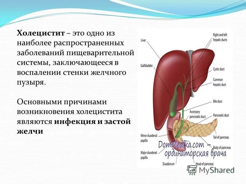 воспалительные заболевания желчного пузыря