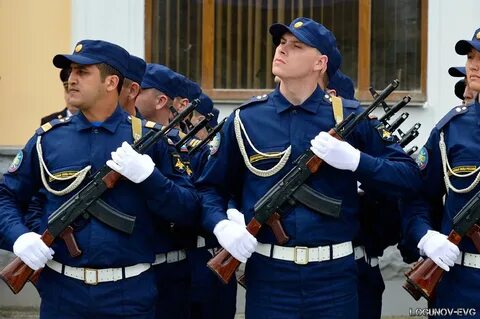 День морской пехоты санкт петербург