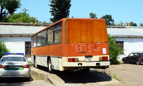 Автобус 310