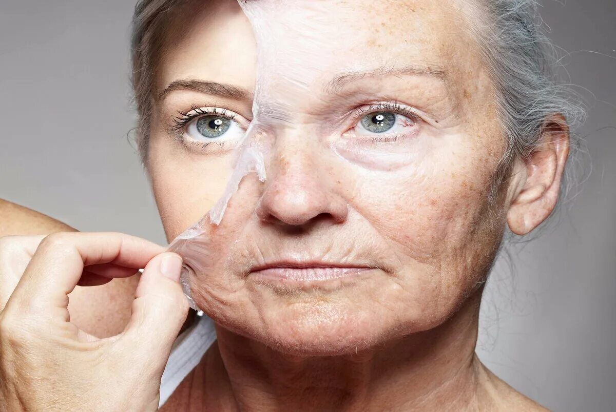 Ageing net