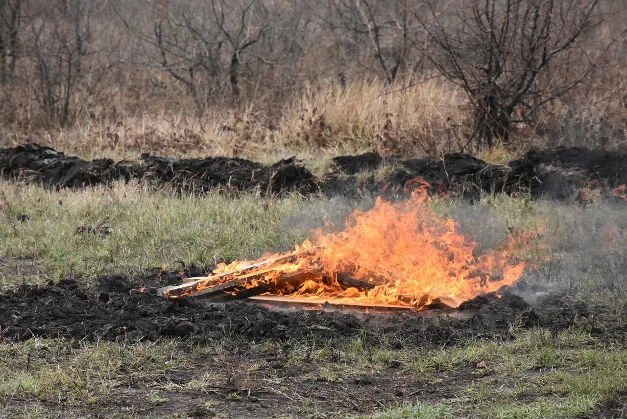 Пожароопасному сезону весной.