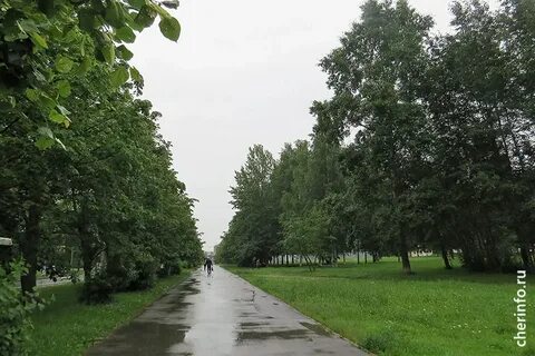 Шел череповец