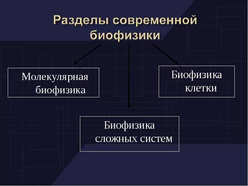 Молекулярная биофизика. Разделы современной биофизики. Биофизика сложных систем изучает. Биофизика презентация. Биофизика клетки.