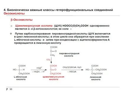 Яблочная кислота щавелевоуксусная кислота