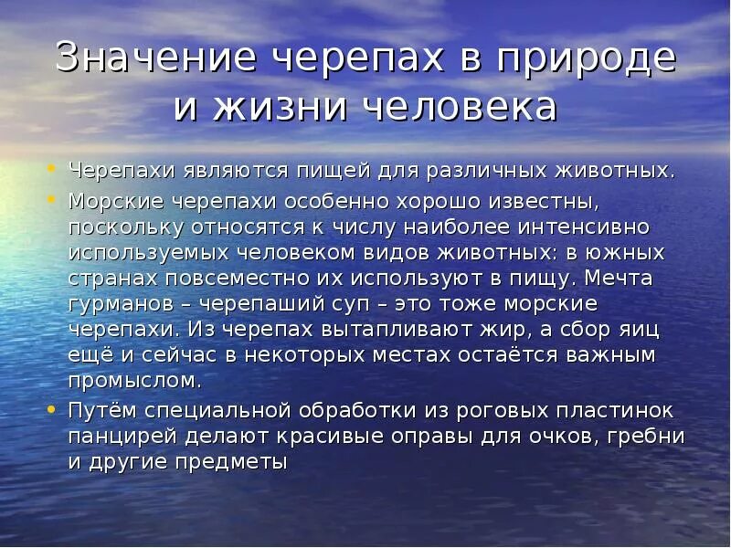 Черепаха в жизни человека. Черепахи значение в природе и жизни человека. Черепахи значение в природе. Значение черепах в природе и жизни человека. Значение для природы и человека черепахи.