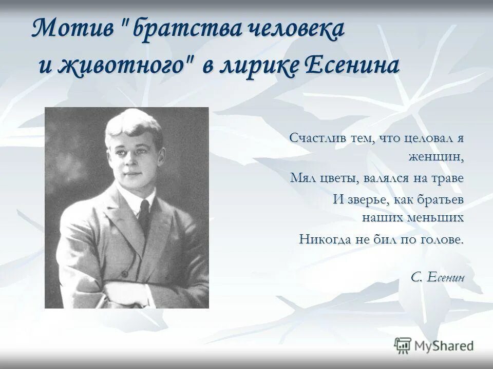 Животные в творчестве Есенина. Любовь в творчестве Есенина. Тема счастья в лирике Есенина. Тема любви к животным в поэзии Есенина. Какие темы звучат в стихотворениях есенина